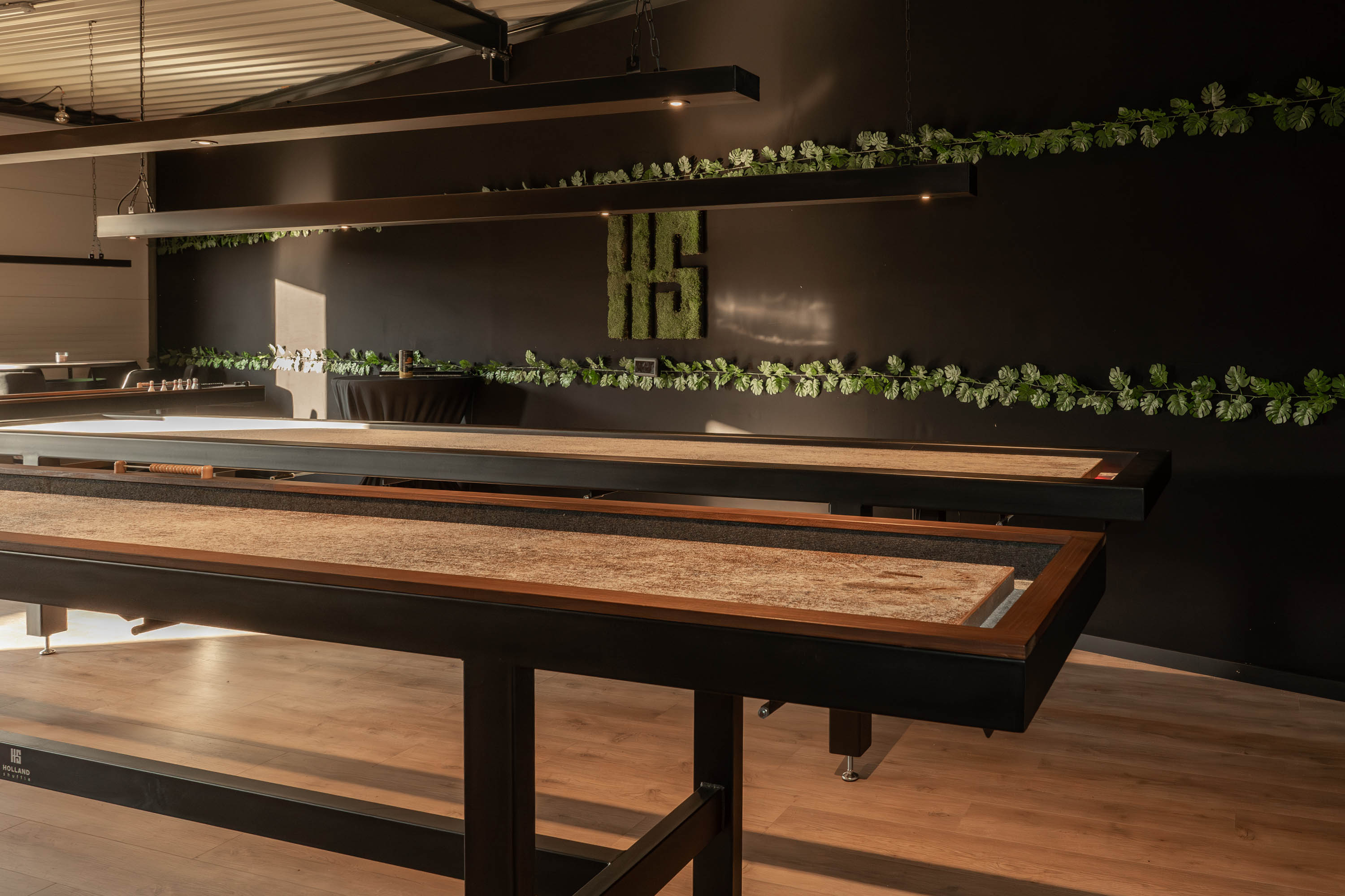 Holland shuffle shuffleboard speelmogelijkheden 